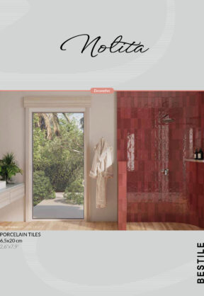 Monografico_NOLITA_65x20