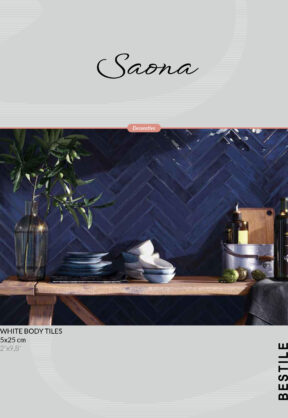 Monografico_SAONA_5x25_lq